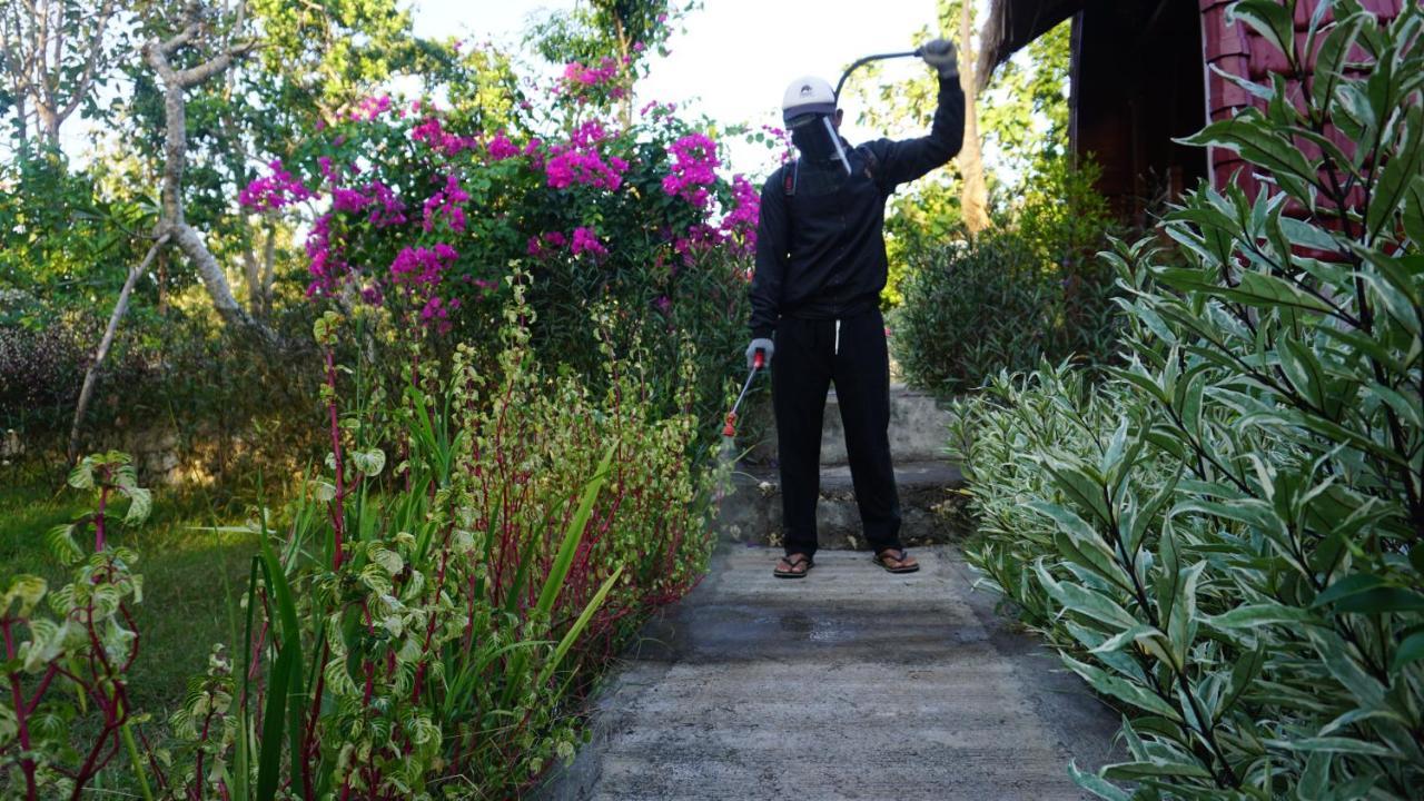 Bougainvillea Bungalow Batumadeg Dış mekan fotoğraf